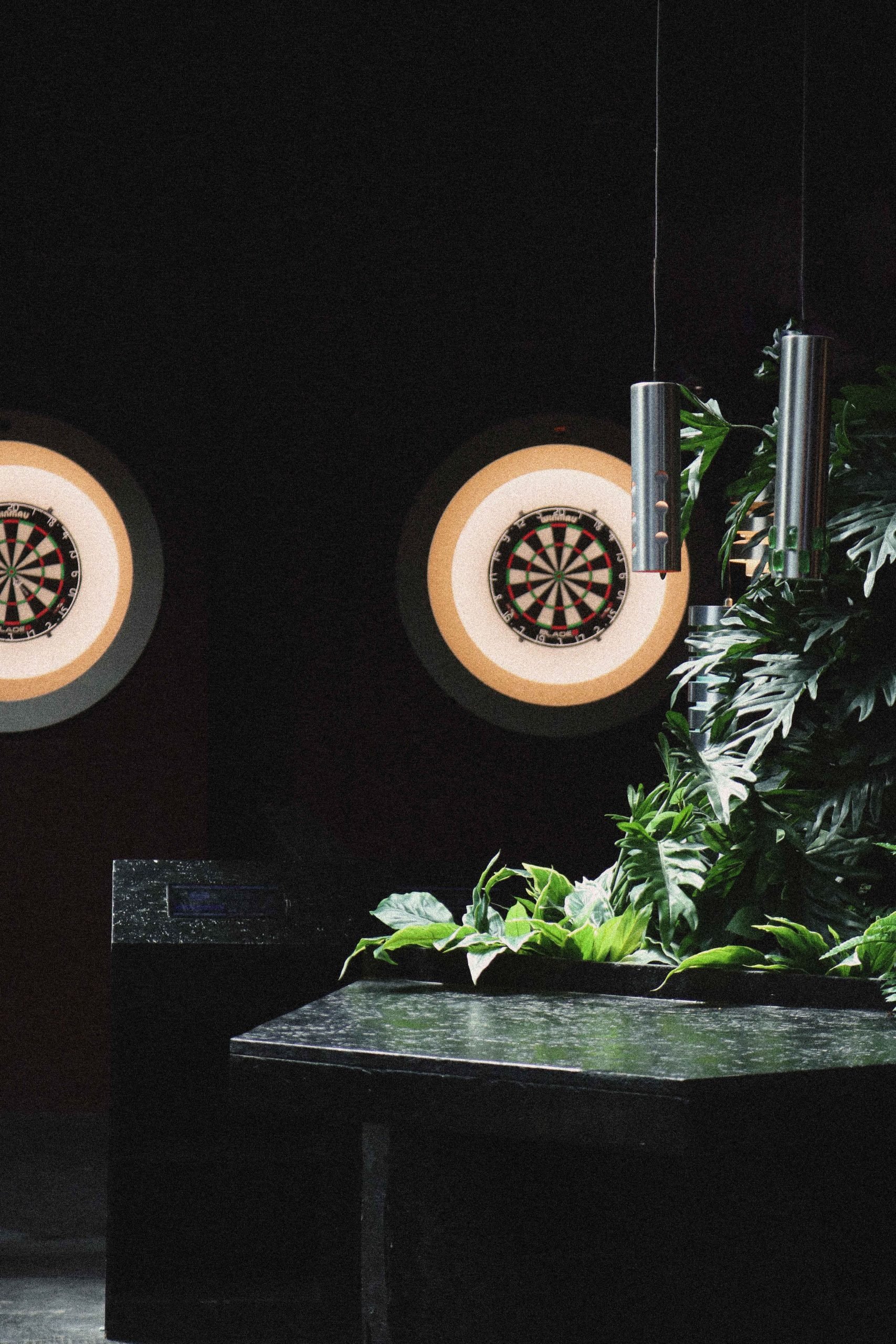 DARTS 12