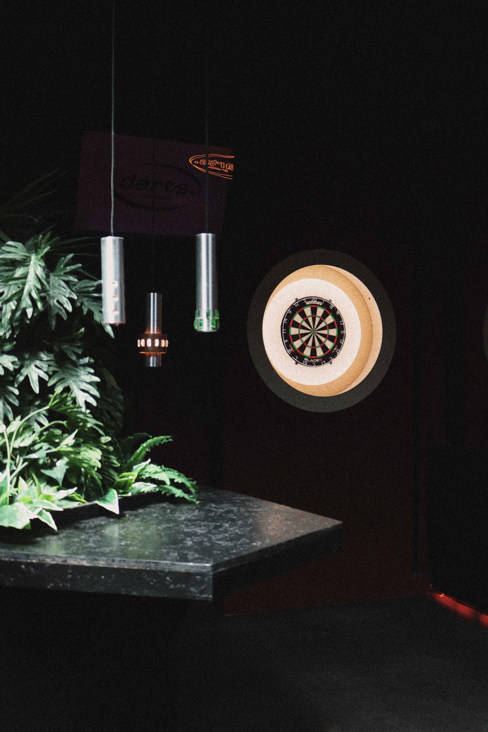 DARTS 13